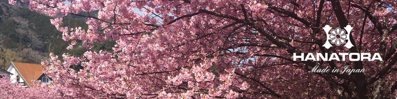 hoge1情報サイト